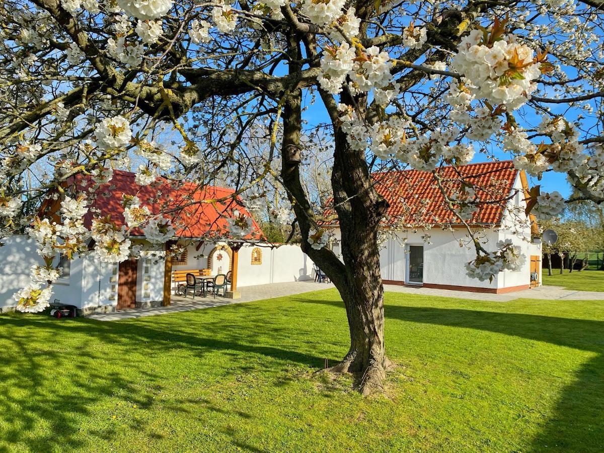 Ferienhaus Berta Sassnitz Eksteriør bilde